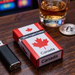 Low Fees Decentralized Casino Experience in Canada